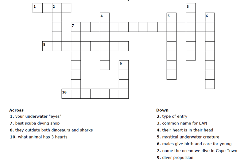 Alpha Dive Centre tweet media