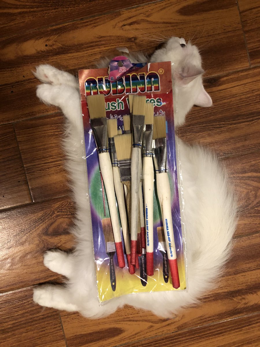 MariumK's tweet photo. As an artist you’re always looking for the best way ain’t brush holder. Well, here it is! #CatsOfTwitter https://t.co/KE7leA80pK