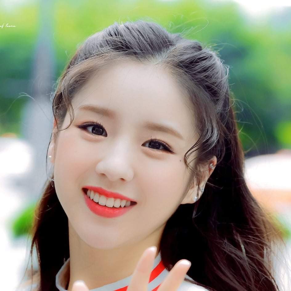 hazzeruu's tweet photo. Heejin Aesthetic Pack Layout. 
RT/FAV if you save or use it. 

#HeeJin #Heejinaesthetic
#heejinlayout #LOONA https://t.co/FH63N4Xpsx