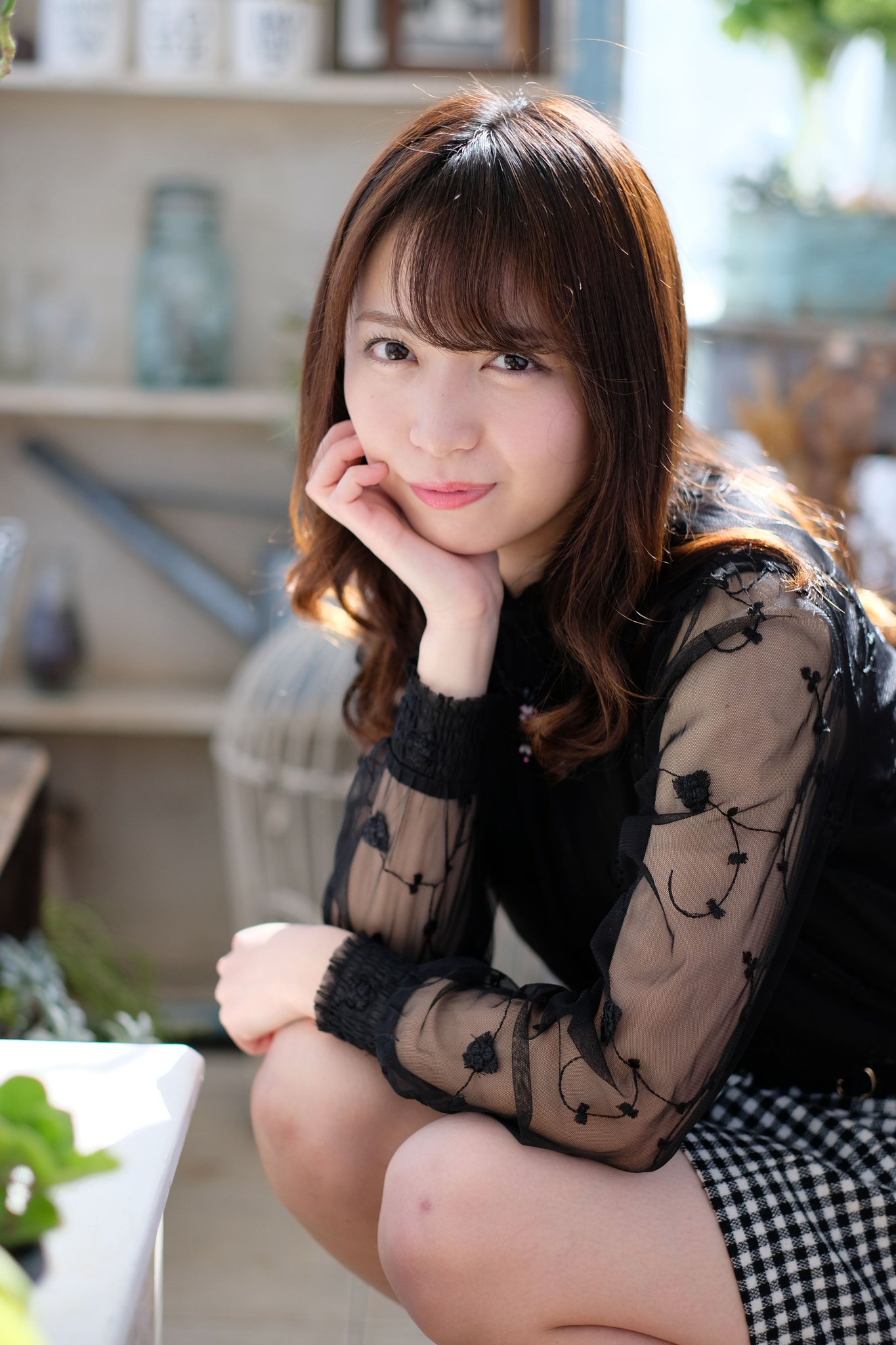 ライセンス写真集 スッと着地 2025/1/11撮影 羽が美しい😍ハイイロチュウヒさん