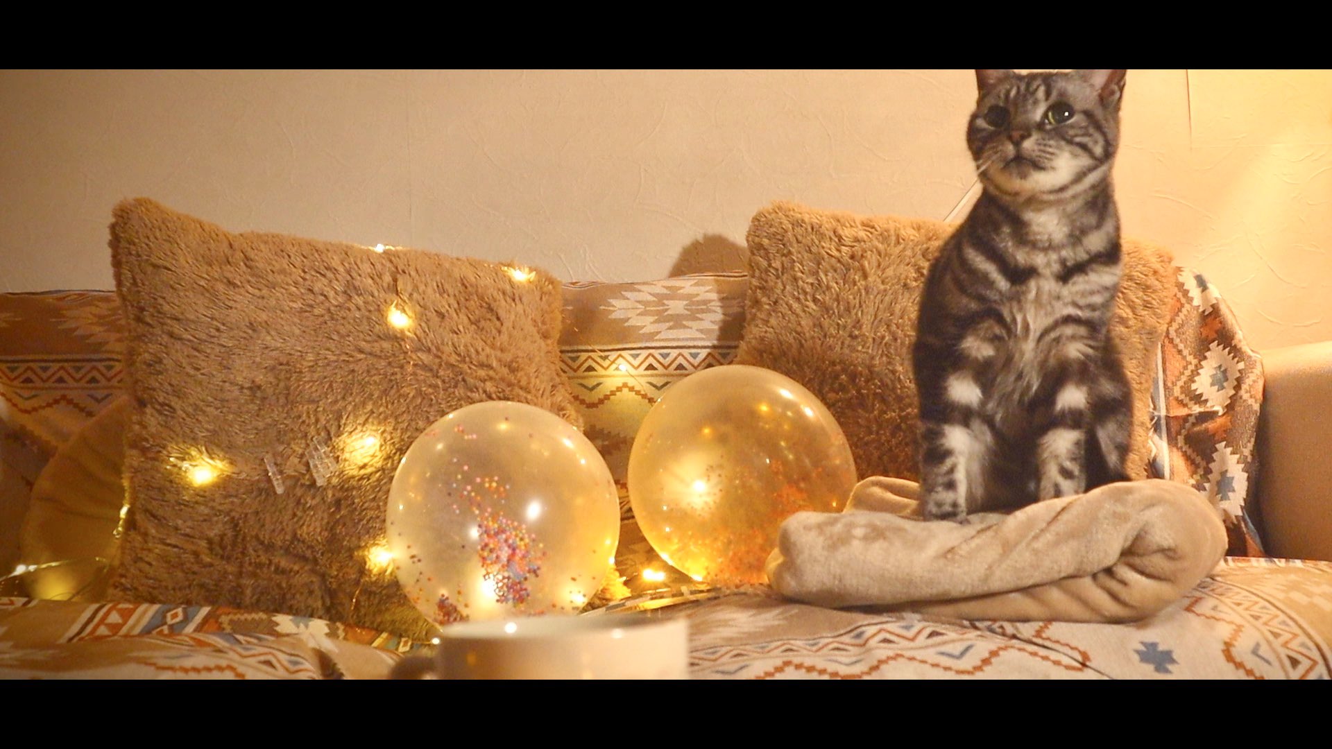 音羽 Otoha フォーエイト 2作目のオリジナル楽曲を投稿しました 猫と風船 Mv 音羽 Otoha T Co Wszn1forcn