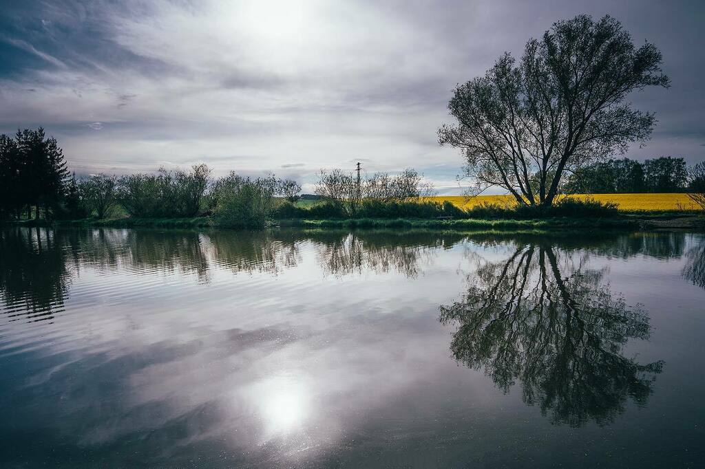 robertbagio's tweet photo. Zrcadlení. .
.
.

#mirroring #mirrorpic #pond #naturephotography #nature #beauty_of_czechia #sun #like4like #instagood #tree #priroda #fotimecesko #landscape #ceskakrajina #czechrepublic #czech #sonya7iii #alpharoamers #sonyalpha #rsa_nature #igerscz #mapy_cz #vscocze #vzcoc… https://t.co/9dJflFa1PL