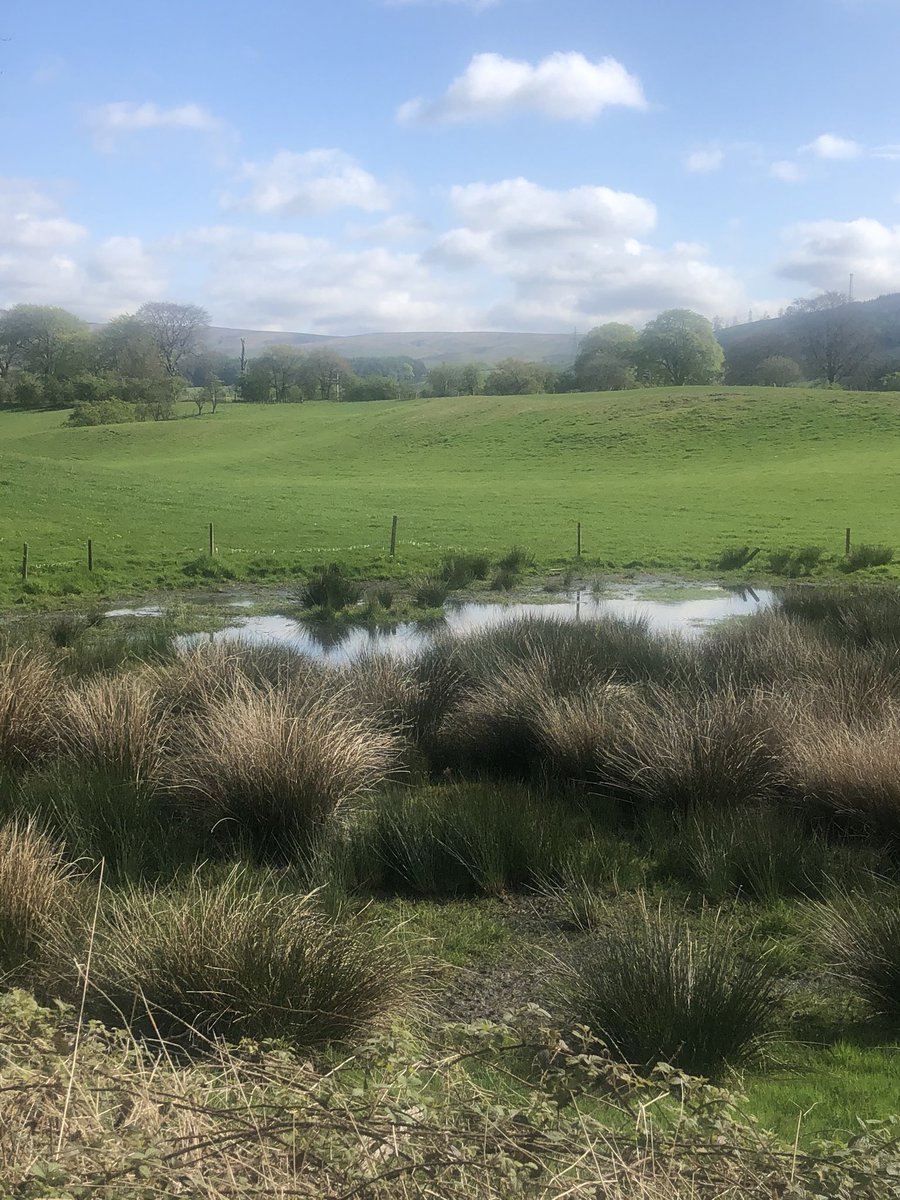 Lynnscottx's tweet photo. #Sundaywalk #Wamphray https://t.co/RdDqkuJqiP