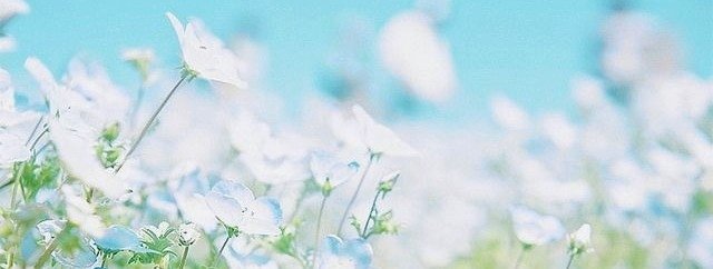 hazzeruu's tweet photo. Wang Yireon / Wang Yiren Aesthetic Pack Layout. 
RT / FAV if you save or use it. https://t.co/kktMDg8rev