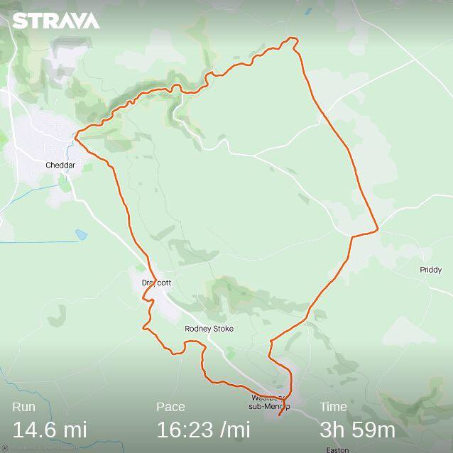 King's Bruton CCF tweet media