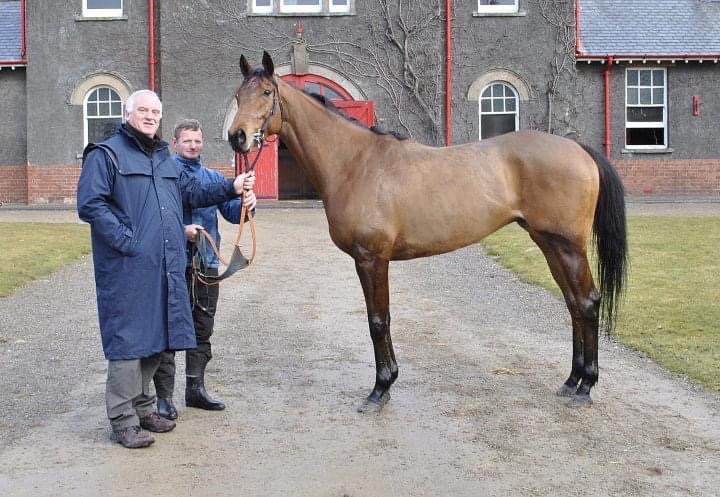 Steve Till tweet media