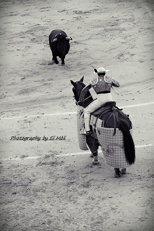 morenodesilva's tweet photo. Como ganadero de Saltillo fue Gallito uno de los toros más completos de los lidiados en Madrid.Por eso tengo su cabeza Sin duda un gran recuerdo https://t.co/fEsjKzLnG7