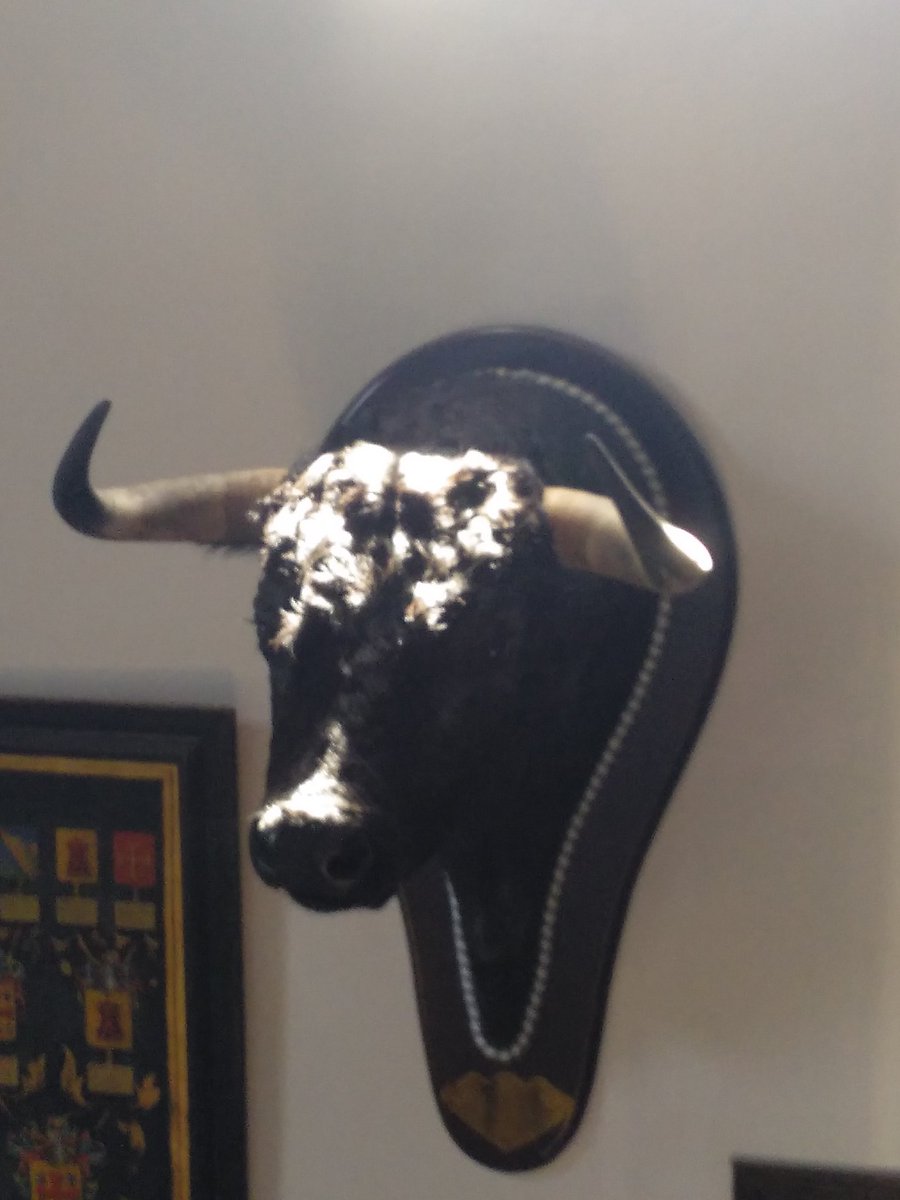 Como ganadero de Saltillo fue Gallito uno de los toros más completos de los lidiados en Madrid.Por eso tengo su cabeza Sin duda un gran recuerdo