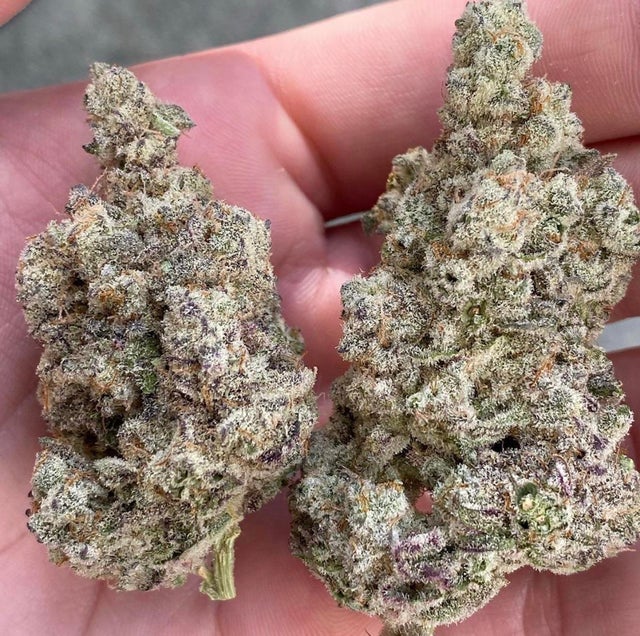 WriteWeed's tweet photo. * Weed Porn * MAC #WeedLife #Mmemberville #PuffPuffPass https://t.co/eBCV65QB60