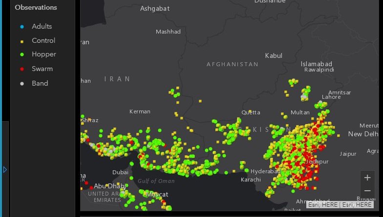  #LocustUpdate  #PunjabLocustUpdatePic 3 shows situation in PunjabIts controlled mostlyOperation against "Hoppers" going onSwarms are developing in Balochistan and LOC areas