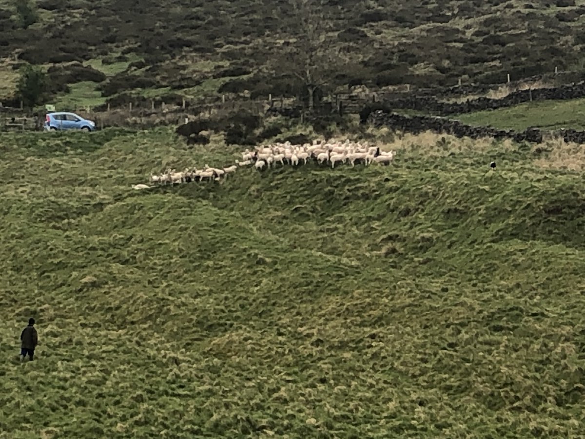 King's Bruton CCF tweet media