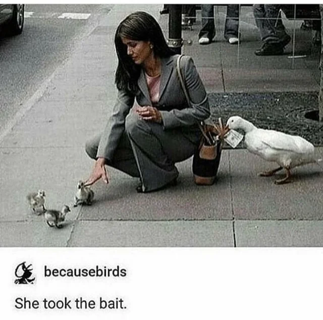 themouseyouknow's tweet photo. Untitled Goose Game (2019) https://t.co/JEOWsSNPEl