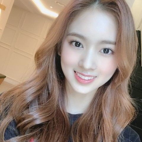 hazzeruu's tweet photo. Cherry Bullet's Hirokawa May Aesthetic Pack Layout 
RT / FAV if you save or use it https://t.co/mHjcDrWX1m