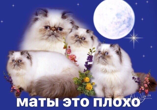 draamaaaaaaaaaa's tweet photo. https://t.co/ise2P4Fd4o