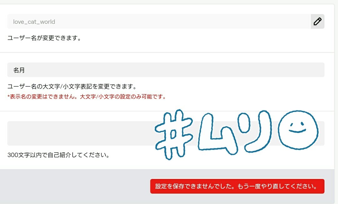 名月 出来たんですけどその後の表示名変更 が大文字小文字変えるくらいしか駄目よて言われてしまうぴえん W