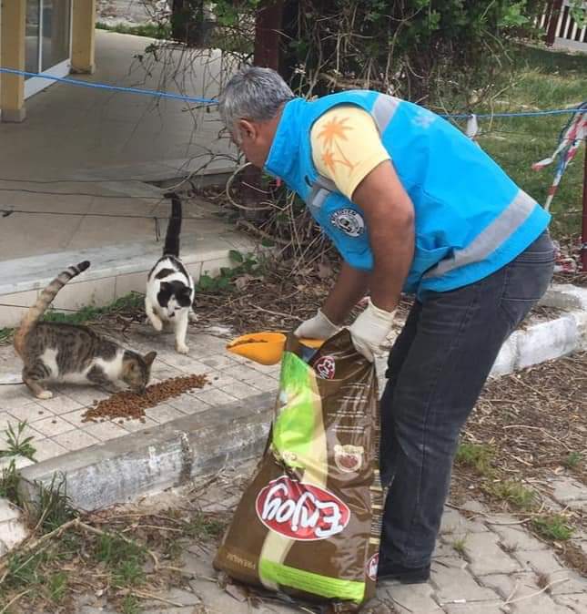 MilasBelediyesi's tweet photo. SOKAKTAKİ DOSTLARIMIZI DA UNUTMUYORUZ 🐈🐶

Hep birlikte başaracağız derken onları da bu işin içinde tutuyoruz..
Onlarda bu süreci bizim ve tabi ki sizlerin desteğiyle atlatacak. Herşey en yakın zamanda çok güzel olacak ❤️ https://t.co/ktIlEMR2Gr