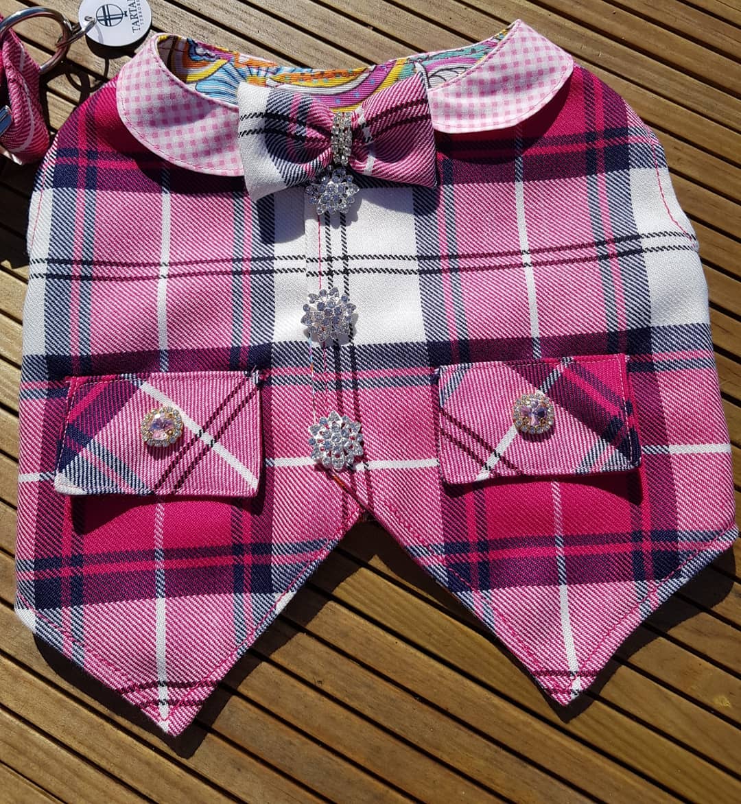 Jock_TheDog's tweet photo. Stylish tartan dog waistcoats for boys or girls from Tartan Terrors - Scotland https://t.co/1PYBHlHXir