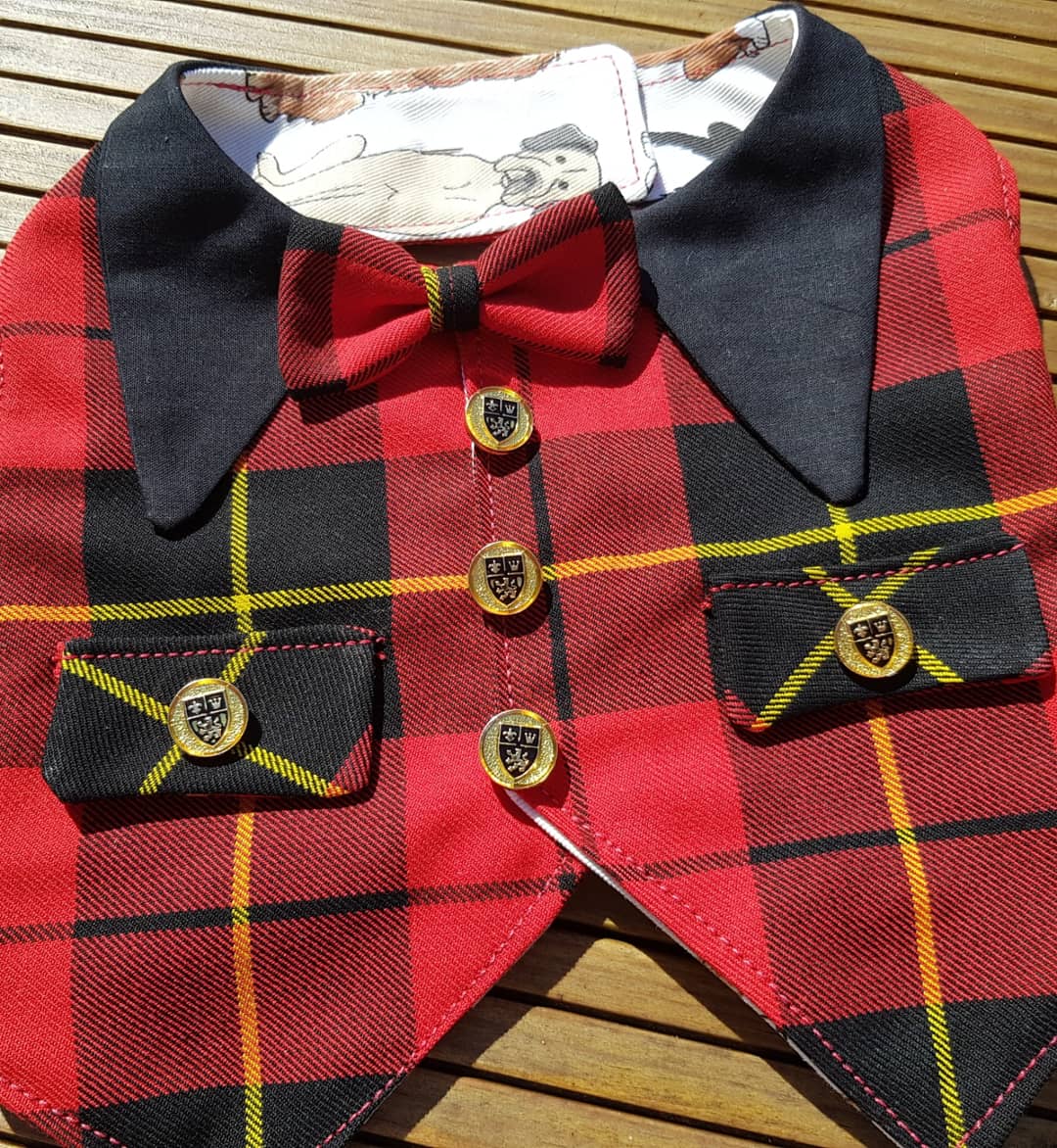 Jock_TheDog's tweet photo. Stylish tartan dog waistcoats for boys or girls from Tartan Terrors - Scotland https://t.co/1PYBHlHXir