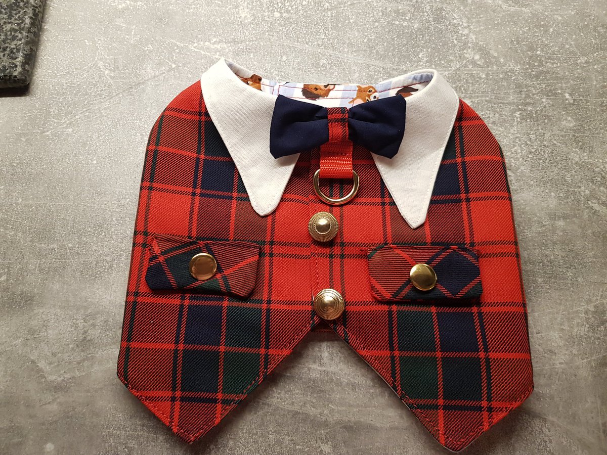 Jock_TheDog's tweet photo. Stylish tartan dog waistcoats for boys or girls from Tartan Terrors - Scotland https://t.co/1PYBHlHXir