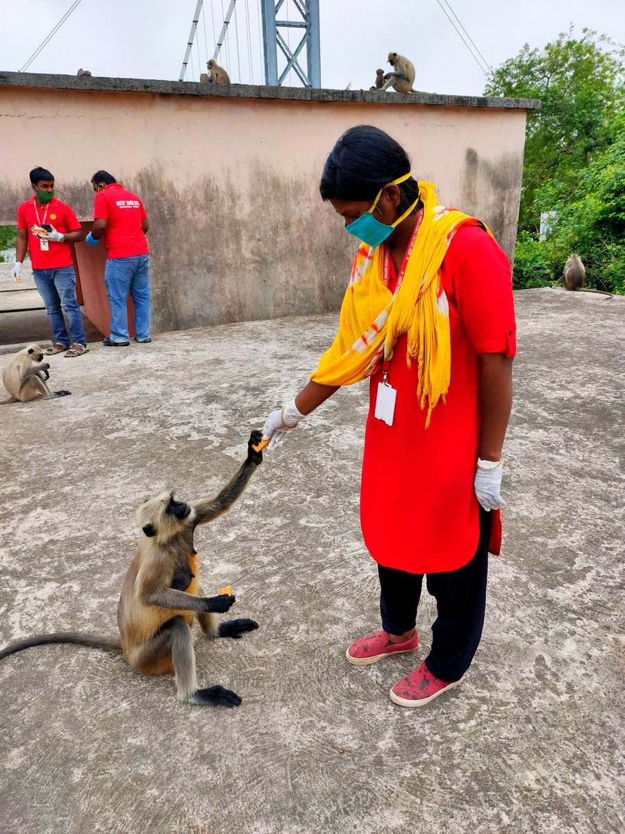 me_sumantakumar's tweet photo. Today's Animal feeding by KEEP SMILING CHARITABLE TRUST near dhabaleswar temple, Cuttack. 😊
@CMCCuttack
@CMO_Odisha
@Dept_of_AHD https://t.co/hq9w0WMeos