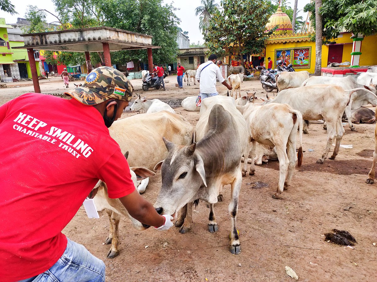 me_sumantakumar's tweet photo. Today's Animal feeding by KEEP SMILING CHARITABLE TRUST near dhabaleswar temple, Cuttack. 😊
@CMCCuttack
@CMO_Odisha
@Dept_of_AHD https://t.co/hq9w0WMeos