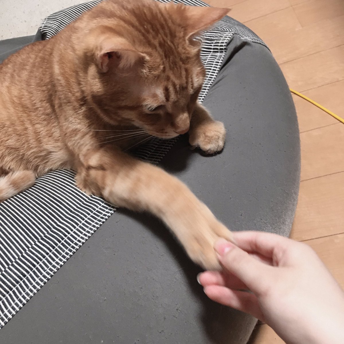 forgot_0083's tweet photo. 握手会のレポ載せときますね https://t.co/aUwUTgu4du