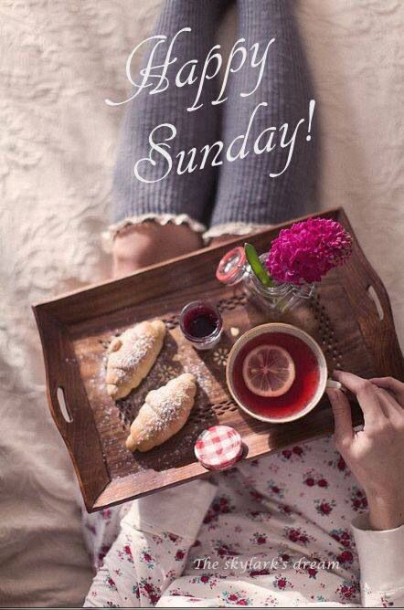 megiTTo_LP's tweet photo. @LadyPeaceRoses1 @BenningtonIsGod Hello my sweet, dear #BestPositiveSister. Happy Sunday to you too 🥰🌷🤗🌈💖Wishing you a wonderful, positive Sunday filled with beauty, peace and love. I hope all is well with you my Lovely Sarah.I send you an ocean of love and hugs. Take care of yourself. 💝🤗🌊❤️🇨🇭♾💕🇧🇬👭🌹🌸 https://t.co/s8YrjdSmBa