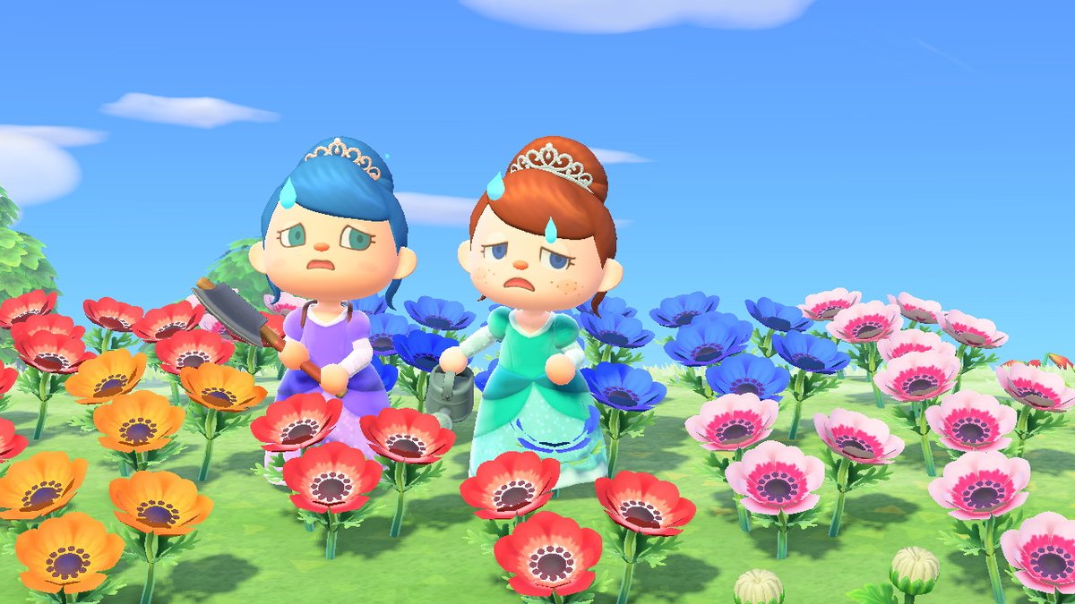 LittleKorok's tweet photo. The day started peacfully, but after arguing which princess is prettier...things got violent ^^ #AnimalCrossing #ACNH #NintendoSwitch https://t.co/mcHlON0qoE