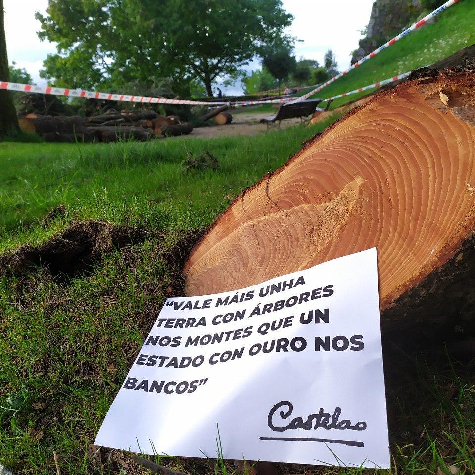 "Vale máis unha terra con árbores nos montes que un estado con ouro nos bancos" 
#Castelao

#CaballeroMata #CaballeroArboricida #CaballeroEcocida #OCastro #deforestacion #Tallamasiva #EmerxenciaClimática #Árbores  #EcoarGlobal #DDHH