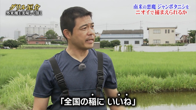 Tokioが厄介者の駆除に駆け付けられない今 ご家庭でできるカミツキガメのトラップと美味しく食べる方法をおさらい 鉄腕dash 5ページ目 Togetter Tokioが厄介者の駆除に駆け付けられない今 ご家庭でできるカミツキガメのトラップと美味しく食べる方法をおさらい 鉄腕dash 5ページ目 Togetter