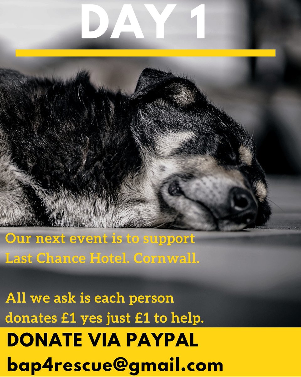 bringapound's tweet photo. #SundayMotivation Our latest event at BAP, raising funds for a charity who take the abused, the neglected and ex bait dogs 😢😢 please please help us and donate a pound today to help a very worthy cause #BringAPound #RescueDogs https://t.co/XYWR6mqbW4