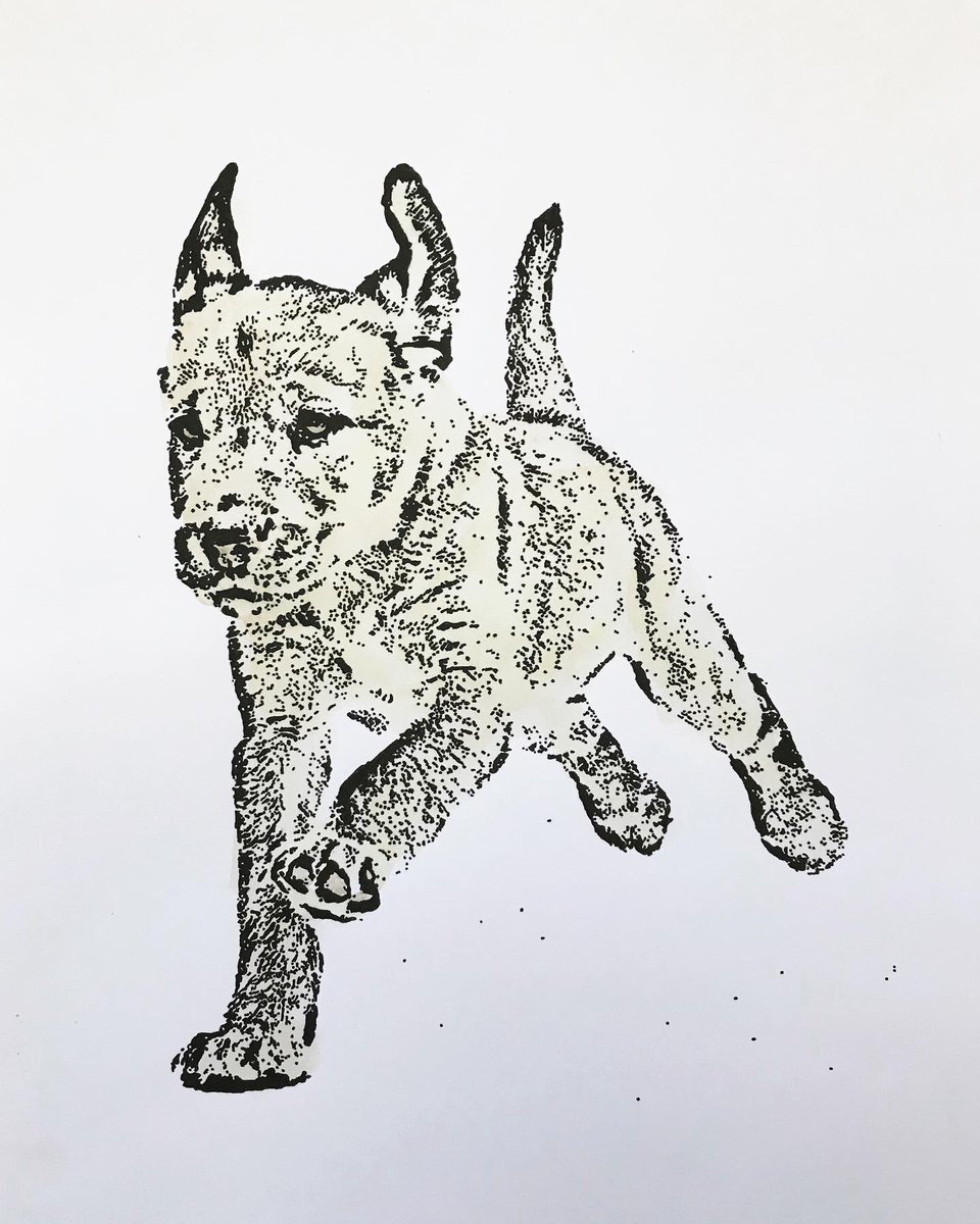 lucymorleyfine1's tweet photo. ‼️SALE‼️ A4 animal portraits

HALF PRICE - NOW: £20 each or £25 framed❤️
#fineart #art #illustration #drawing #painting #watercolour #mixedmedia #sherborne #dorset  #animals #animalportrait #animalartist #sale #clearancesale #itsthelittlethings #artistsoninstagram #newartist https://t.co/wDrcKu2KWt
