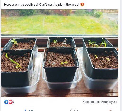 green_hutchison's tweet photo. For anyone who lives in the Hutchison-Chesser area we cannot emphasise how fabulous our new group “Hutchison Home Grown” is right now. Full of inspiring stories and mutual help from neighbours on how to grow food from window boxes to back greens. https://t.co/pMYhsJdSLE