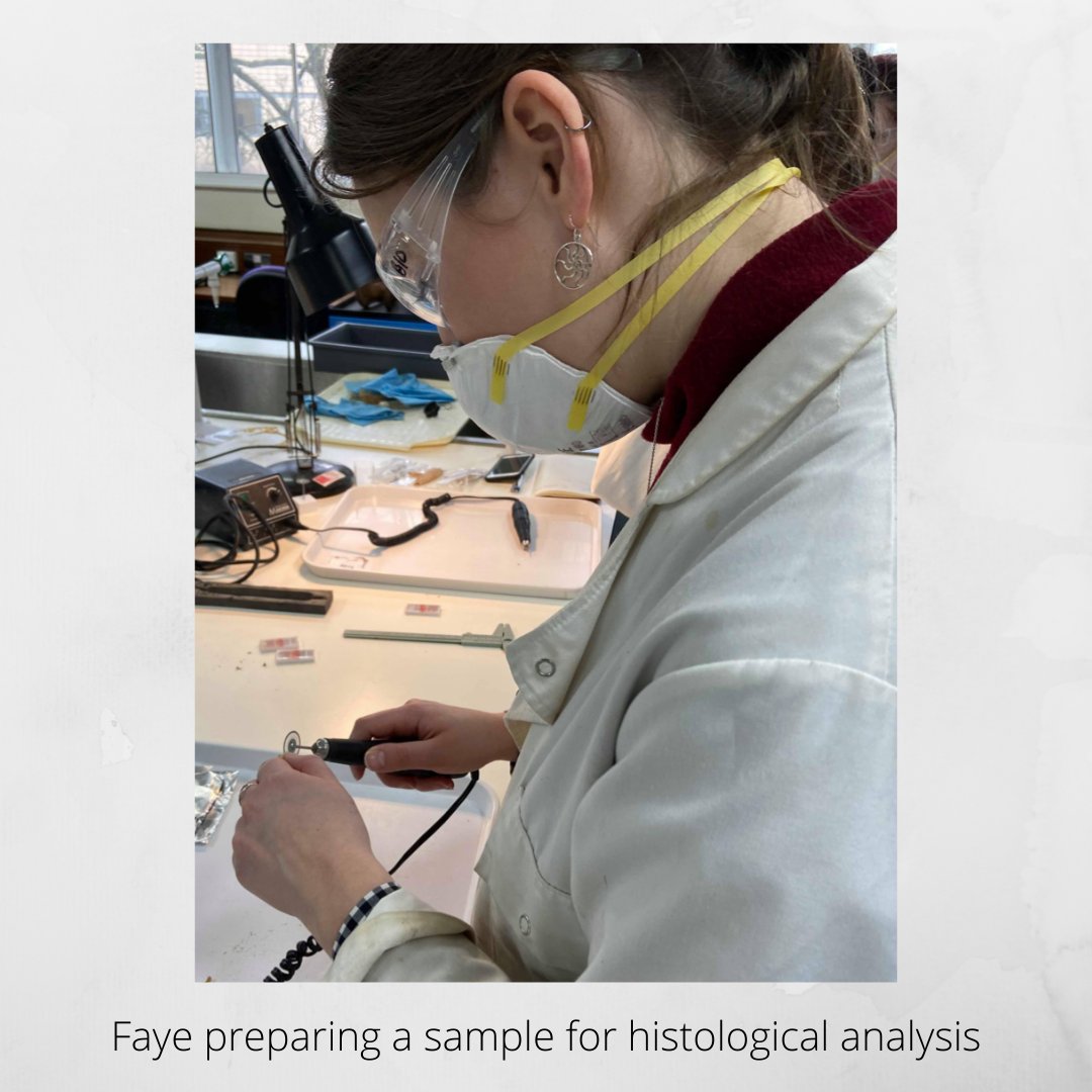 CUBALab's tweet photo. #StudentSpotlightSunday ft MSc student @FayeShearman! Faye's research uses histological analysis to make sense of prehistoric burial practices. Starting with Iron Age Britain, she's now applying the analysis to investigate Neolithic burials in stalled cairns on Orkney! #CUArch100 https://t.co/3pGZt9LUla