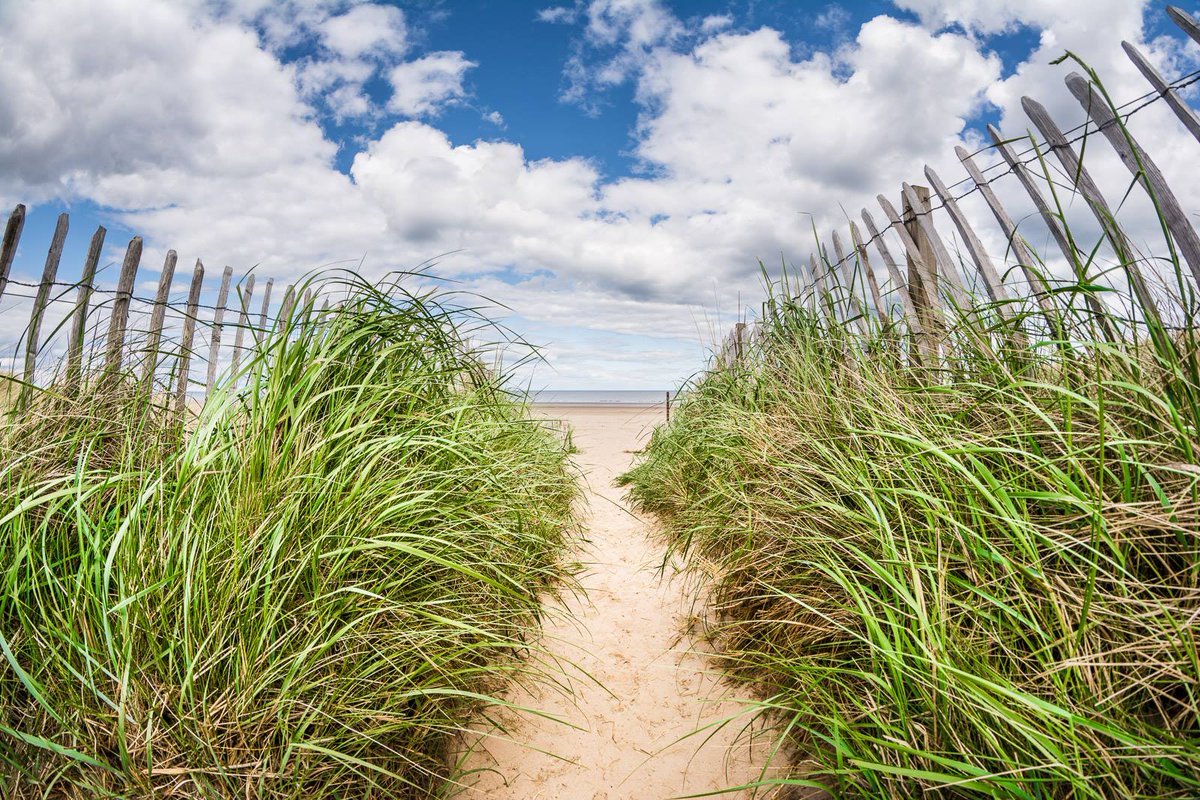 welcometofife's tweet photo. Take a moment to imagine the sound of the sea gently lapping on #Kingsbarns beach, the rustle of the marram grass and the sun warming your bones.....bliss! #stayathome #lovefifelater #eastneukwillwait https://t.co/9KAOa9s6Gc
