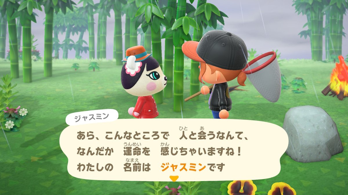 Pon P على تويتر ブーケ狙いなんだけどなー ジャスミンかわいいなー どうぶつの森 Animalcrossing Acnh Nintendoswitch