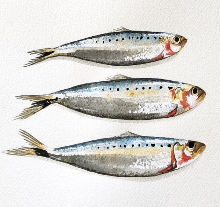 BiglinDanielle's tweet photo. Three’s Company #sundayfishsketch https://t.co/01LHkMWXsv