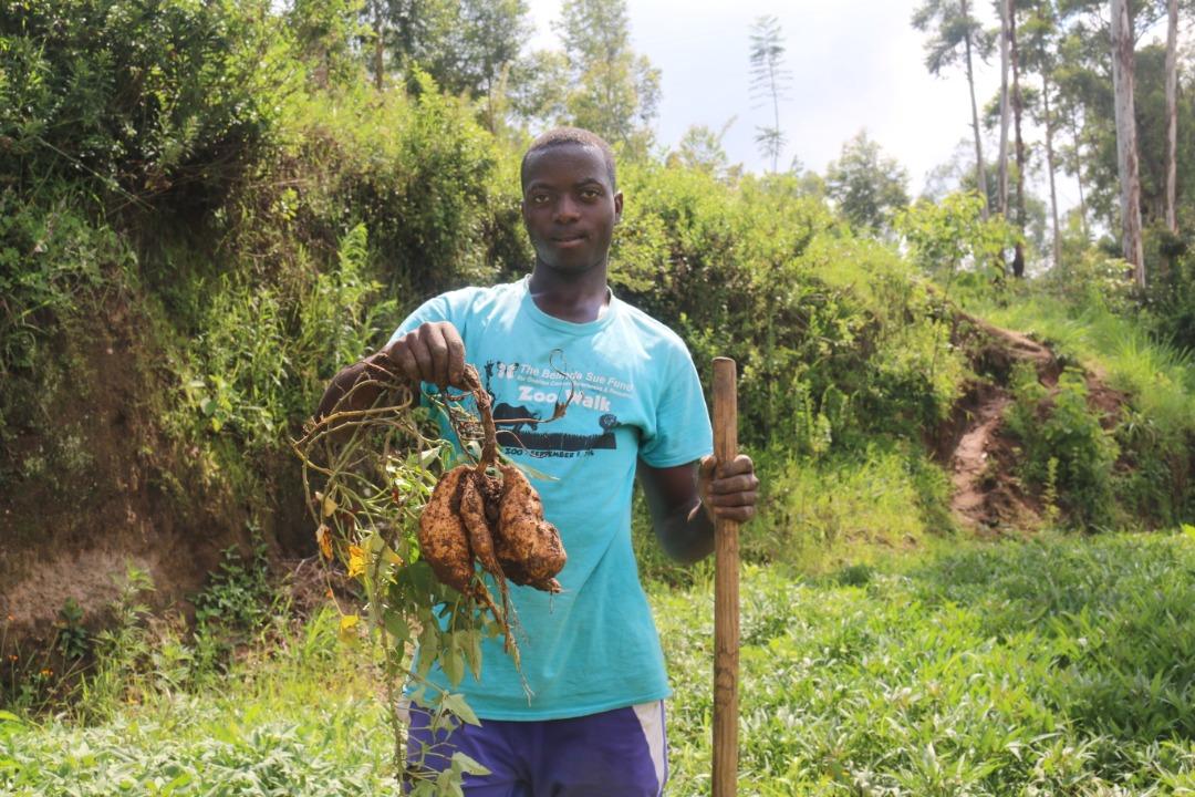 Ministry of Agriculture & Animal Resources |Rwanda on Twitter ...