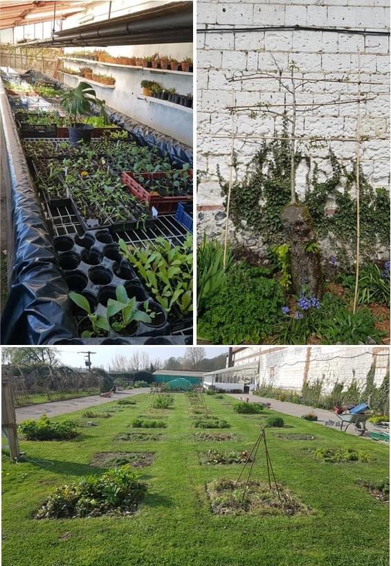 Quelles nouvelles dans les #jardins <a href="/chartneuville/">chartreusedeneuville</a> 🌿🌻

👉 54 carrés aménagés et une belle réussite grâce à la persévérance du jardinier : un poirier sauvé avec une seule branche conservée qui nous offrira certainement des fruits ! 

A bientôt de vous retrouver aux jardins ! 🙂