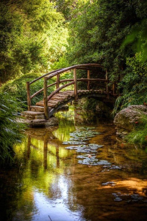 abercrombiehere's tweet photo. Love, Peace and Healing to YOU!💜 https://t.co/tCKVrNUJRd