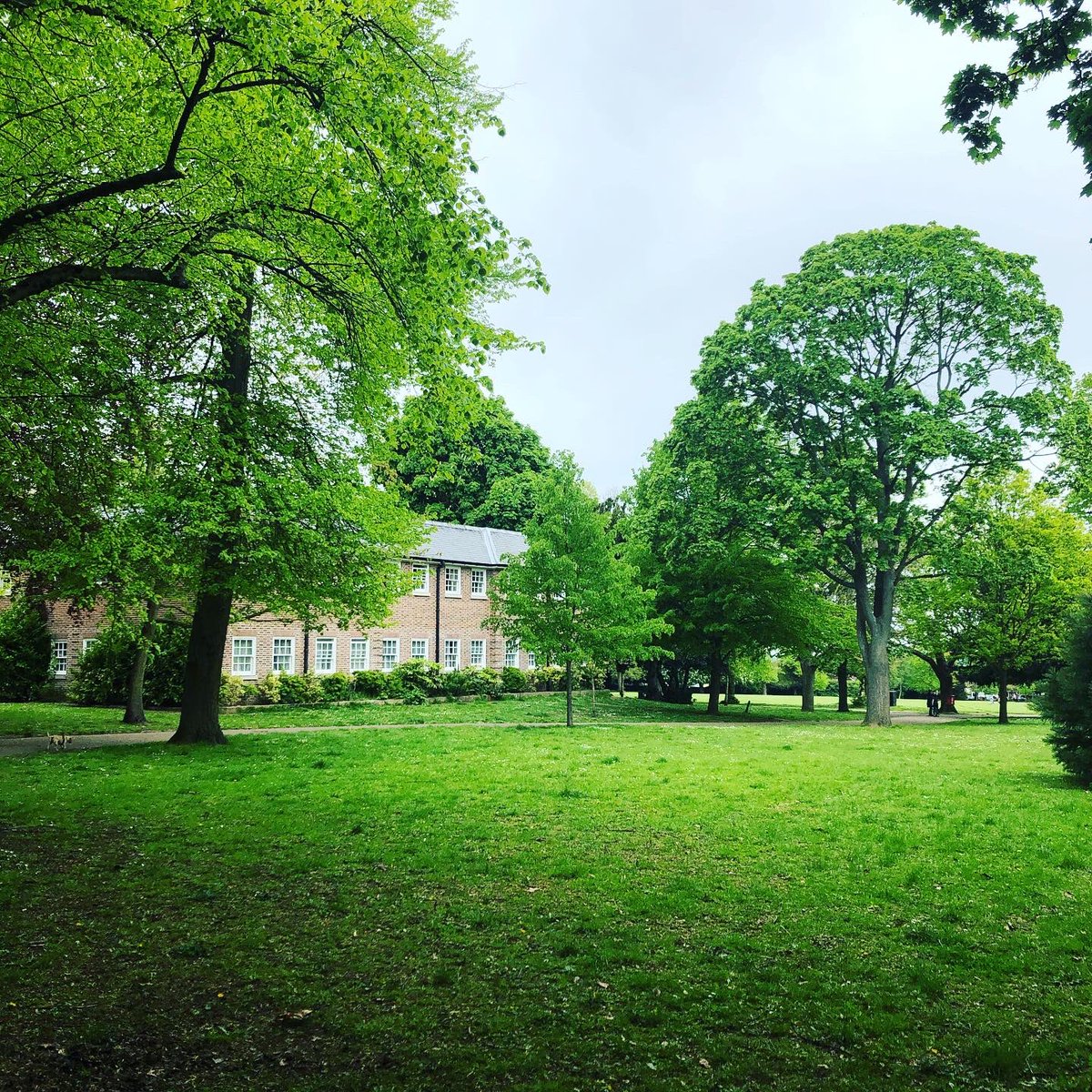 GillinghamOf's tweet photo. Walked the dogs in the park today- lovely to see how green &amp; verdant it’s looking and lovely see other FoGP members @IngeborgAlison and Terry #loveyourlocalpark #staysafe https://t.co/rO6D40ZX4z