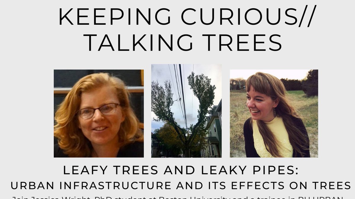 Trees_Boston's tweet photo. Join @AudreySchulman and Jessica Wright for our next #CommunityConversation, 5/6 at 3pm. Topic will be #LeafyTrees + #LeakyPipes.
@HEET_MA @GasSafetyUSA @MothersOutFront @350Mass @nathanpboston
@bu_urban @BerkshireBank #TreeEquity
https://t.co/qjALwuUXNj https://t.co/8pxQGBYIn7