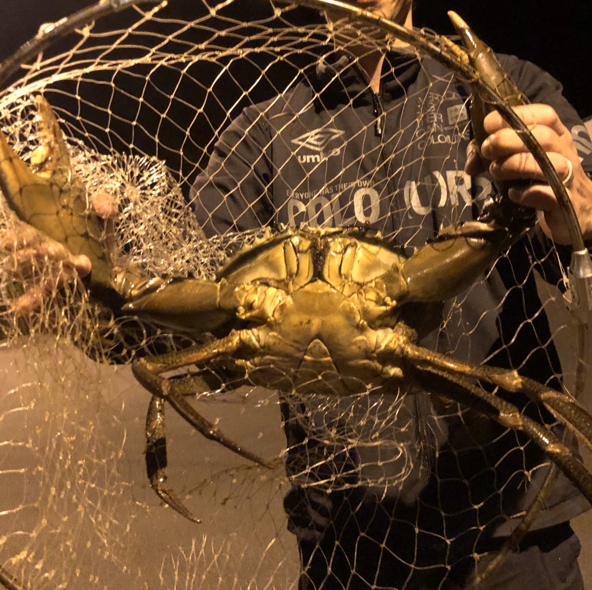 Typeb もりけんの雑釣り Moriken04 Twitter