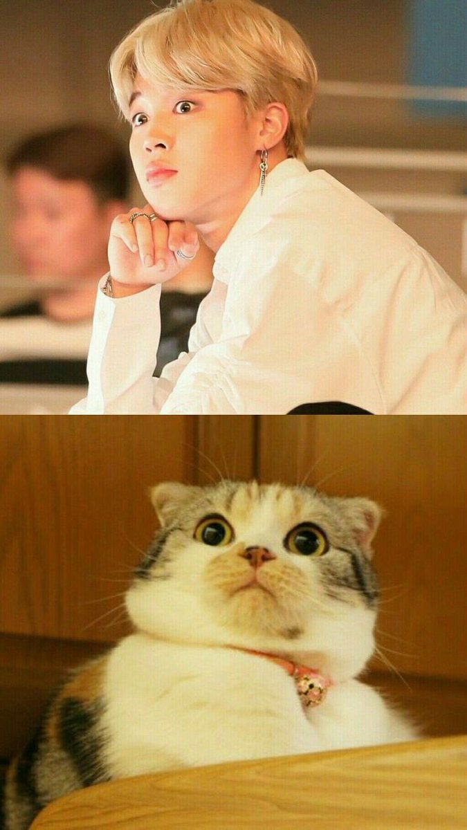 lilmacarons's tweet photo. Encimm mirip sama meng kkk >.< https://t.co/BoLIkKtepb