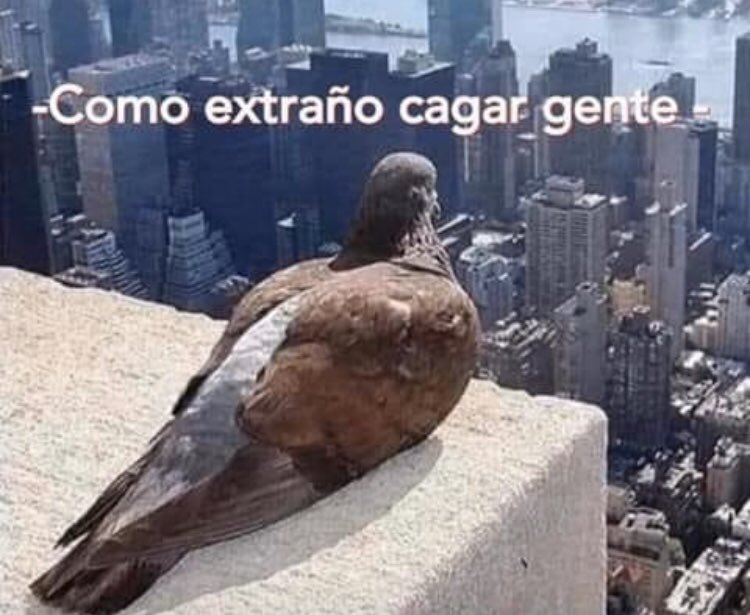MauricioDgz's tweet photo. https://t.co/upeUIEQSC7