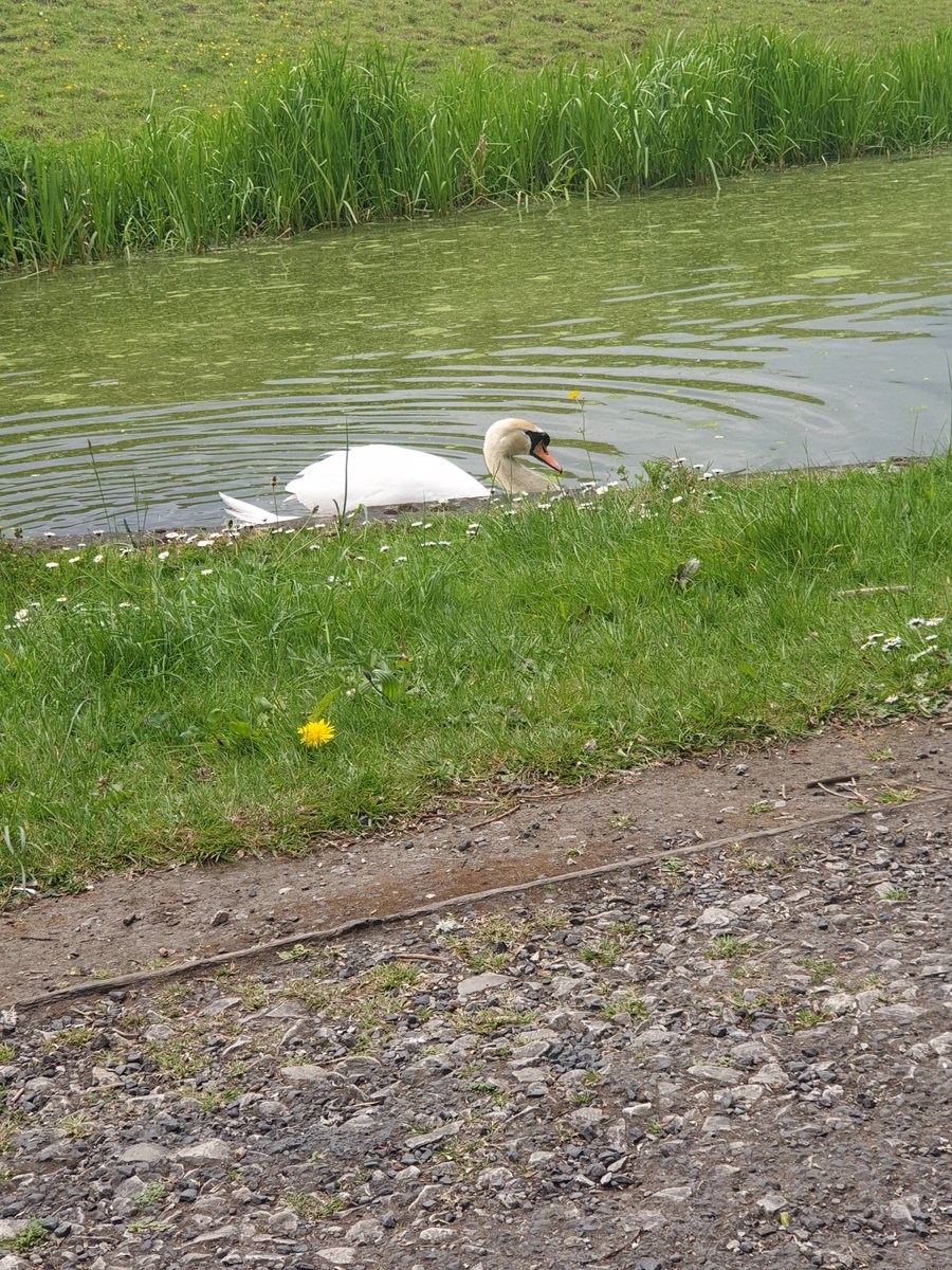Completed 13.8 miles ride today towards my #twopointsixchallenge 
Just over 1 mile to go to reach the 26 miles and raised over £200 for @RadioCity967 #CashForKids