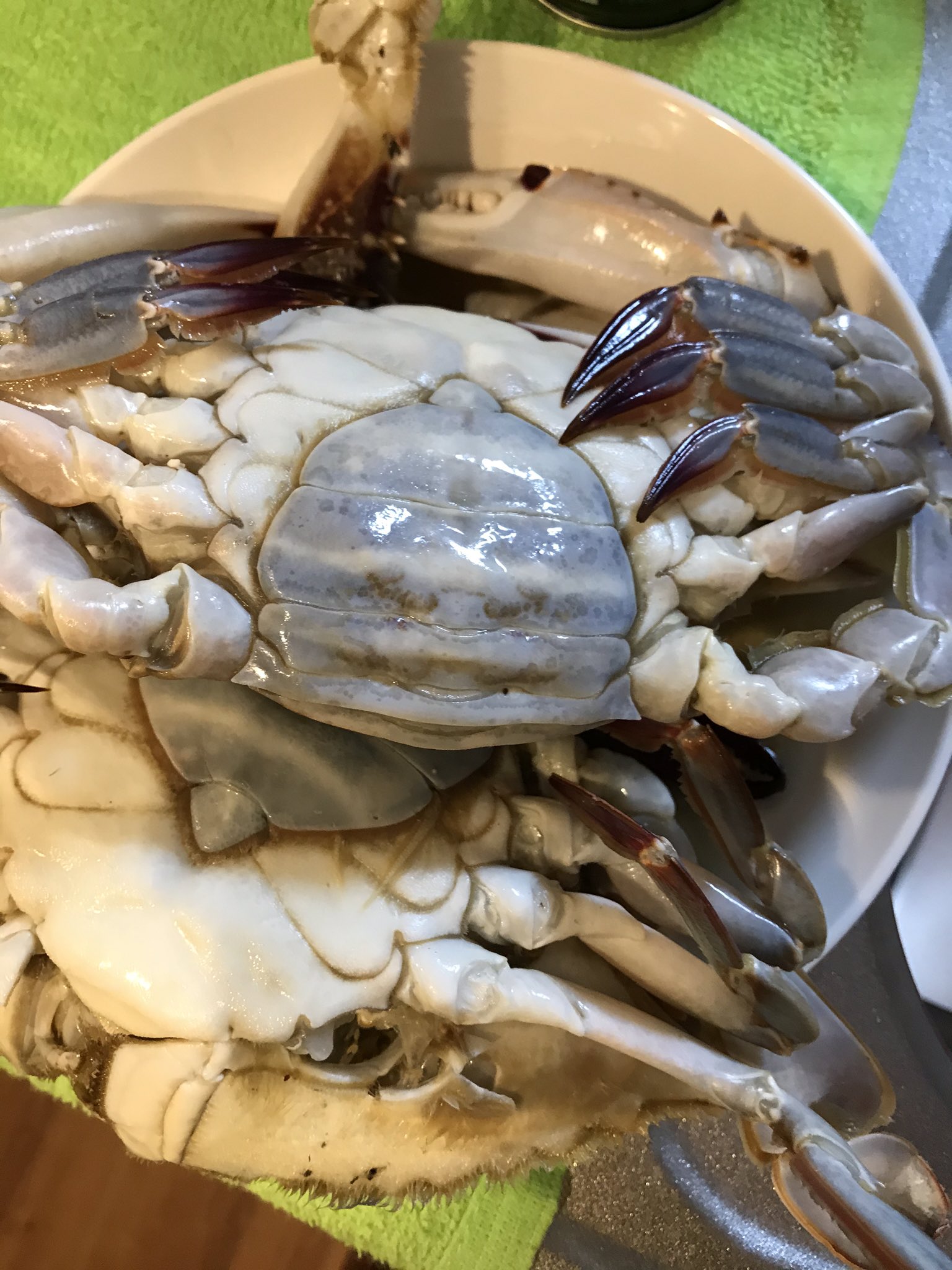 シュウペイ ぺこぱ 家 1グランプリありがとうございました ネタで使ったカニ とナス は美味しくいただききました ごちそうさまでしたーん 家1グランプリ Abema カニ ナス ぺこぱ T Co Qmtroohpbv Twitter