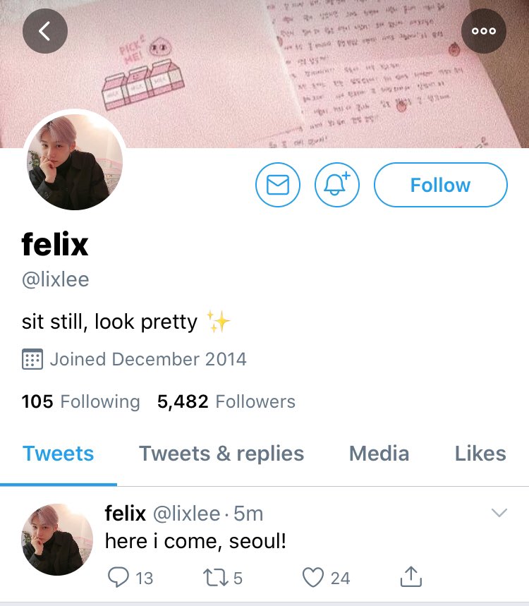 character profile ♡lee felix (22)→ minho’s little brother, works as a model and at the same time a designer, stays in europe most of the time, he likes to go with the flow unlike his brother who likes to plan out everything