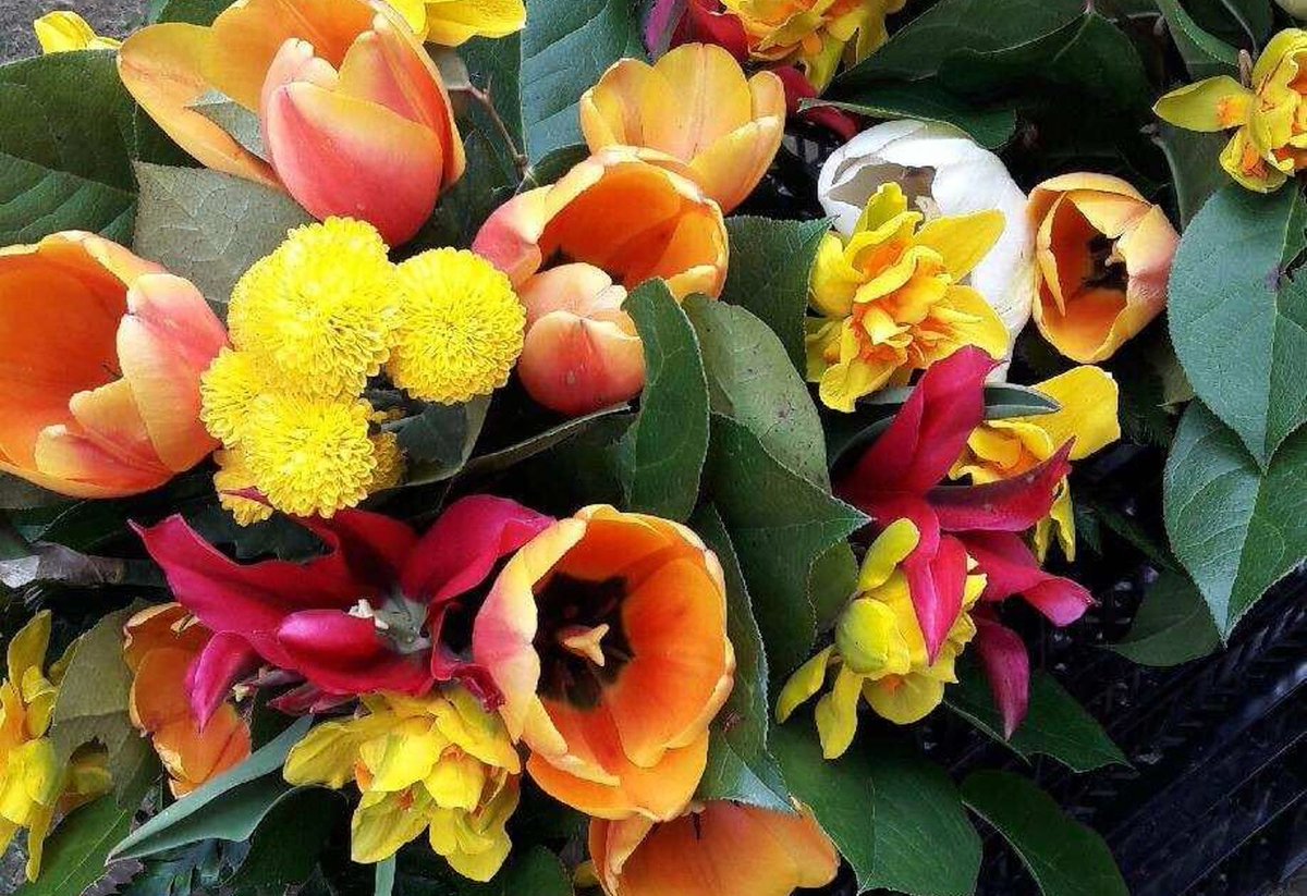 Credit: Courtesy of See Lee A bouquet from See Lee Farm Farmers markets are slowly returning, but in a limited way. Only food farmers and producers will be selling. Flower farmers, will not. superfloral.com/rss-feeds/grow…