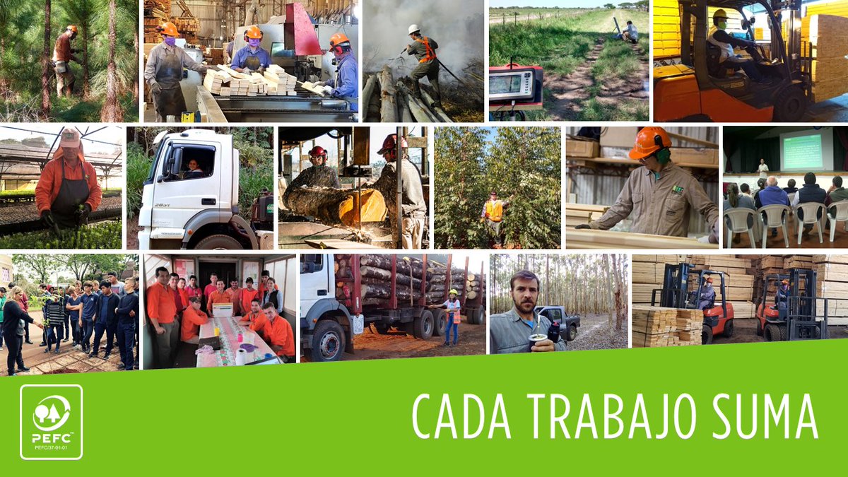 CERFOAR's tweet photo. 🖇️ #CadaTrabajoSuma
¡GRACIAS!
#DíadelTrabajador2020
✏️ 📸 Gracias a todos los que compartieron sus historias.
#PEFCtuElecciónResponsable
#20yearsofcaring https://t.co/gmepZbzFOg